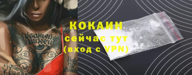 Cocaine Fish Scale  как найти наркотики  Краснокамск 