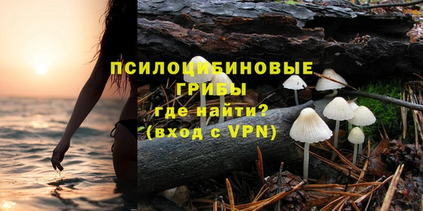 ALPHA PVP Надым