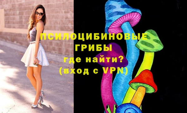 ГАЛЛЮЦИНОГЕННЫЕ ГРИБЫ Михайлов