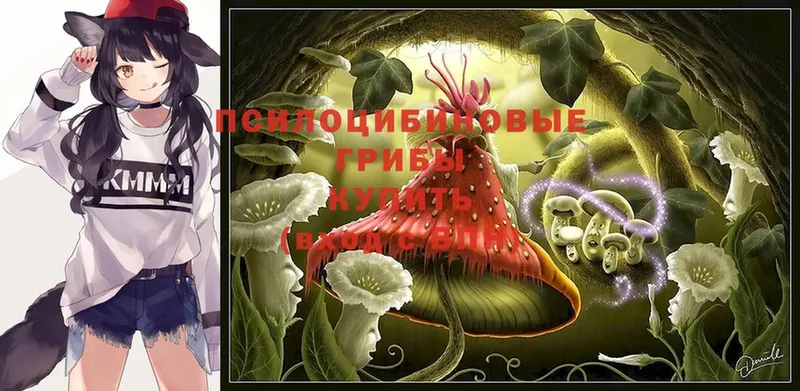 закладки  Краснокамск  OMG вход  Псилоцибиновые грибы Psilocybine cubensis 