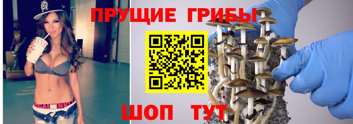 Краснокамск  Псилоцибиновые грибы мухоморы  Вход с VPN 